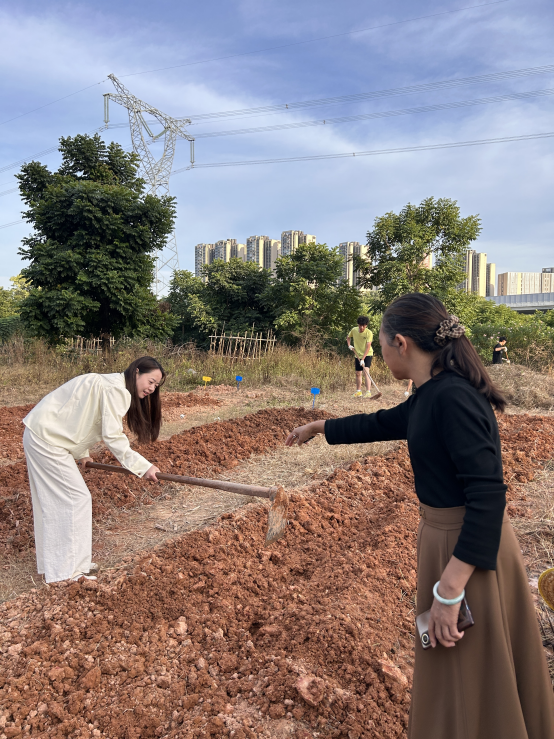 图片3.png 图片3.png