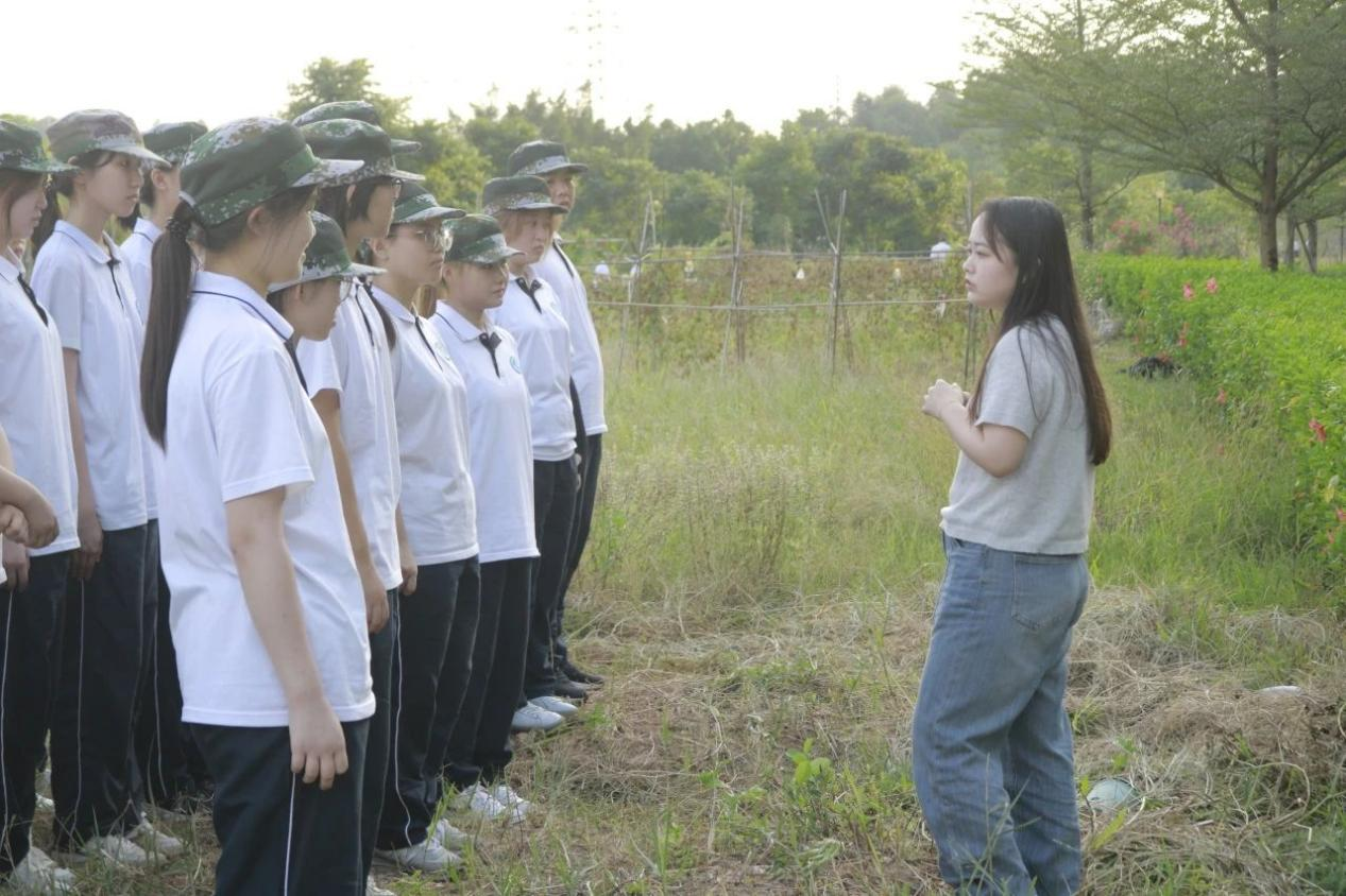 图片1.png 图片1.png