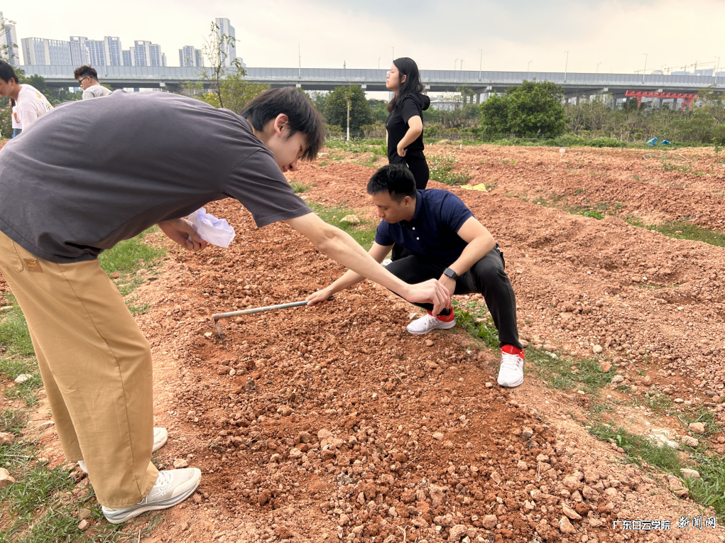 图片 2.png 图片 2.png