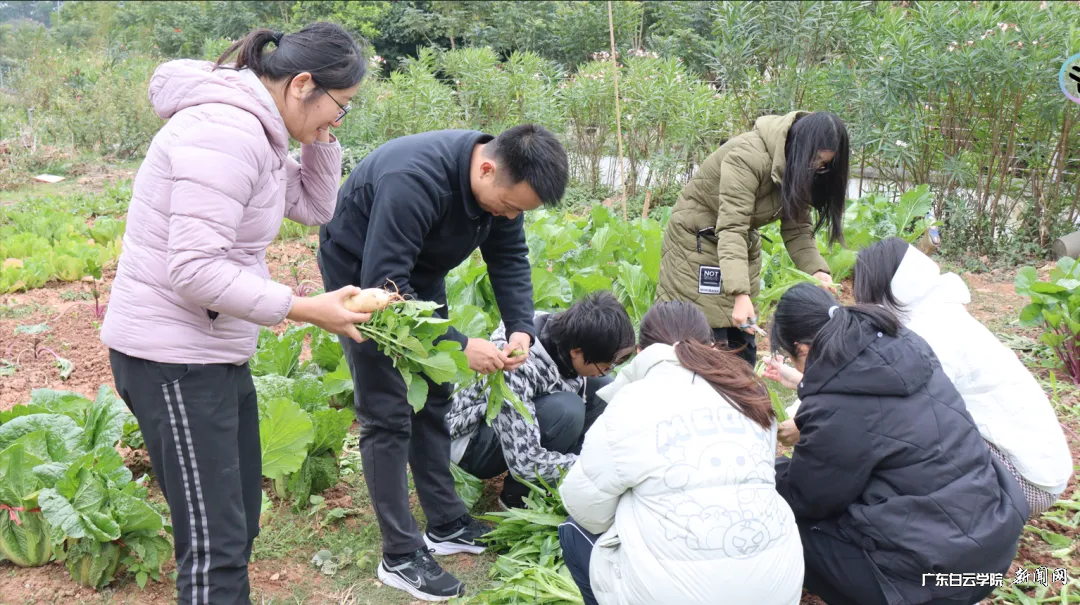 图片 1.png 图片 1.png