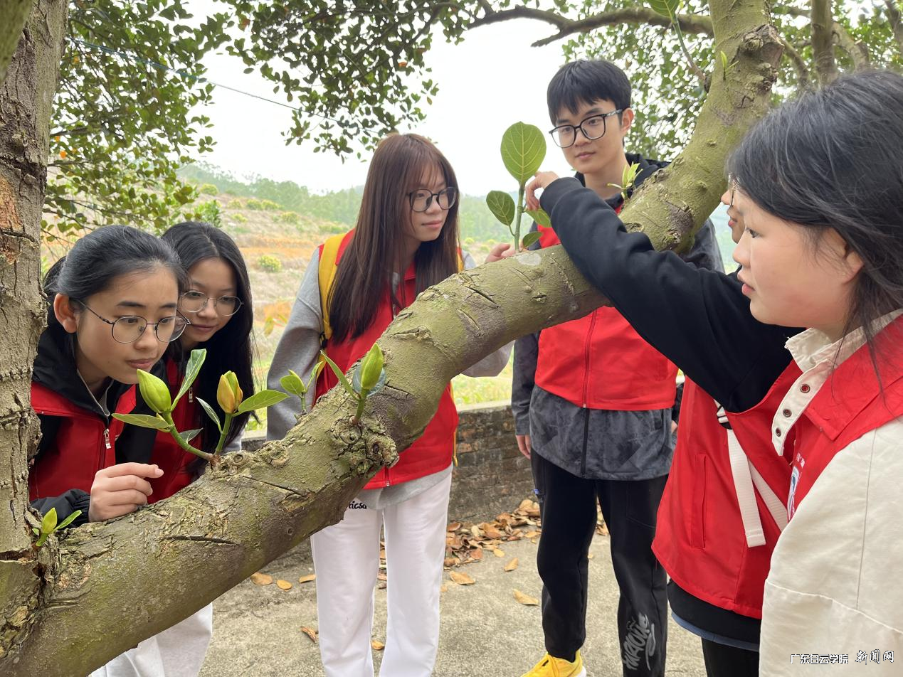 图片 4.png 图片 4.png